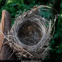 Импортозамещения нет даже для оснащения воюющей армии.... Русская Идея