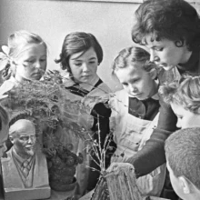 У нас вся РФ - сплошная