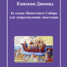 Епископ Диомид. За созыв Поместного Собора для сопротивления апостасии