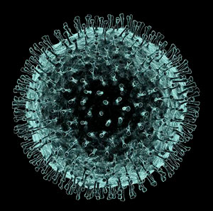постоянно мутирующий вирус получил свое название коронавирус из-за ворсинок на оболочке