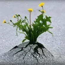 Ко Дню дипломатического работника от