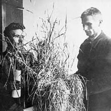 Война коммунистов против русской науки: погром