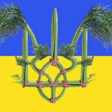 О роли укропа в истории человечества и в грядущей