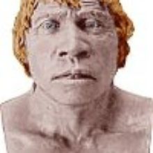 Дарвинизм – путёвка в тупик лжи