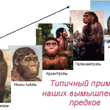Исследование ДНК опровергает гипотезу Дарвина об эволюции