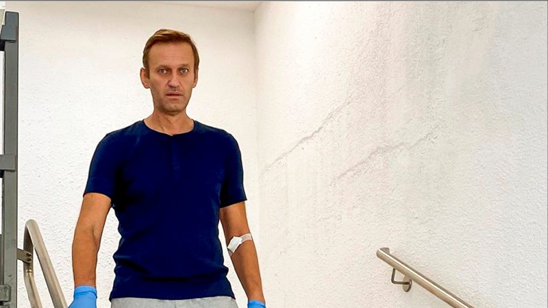 Новости от Навального для Бесогона Михалкова